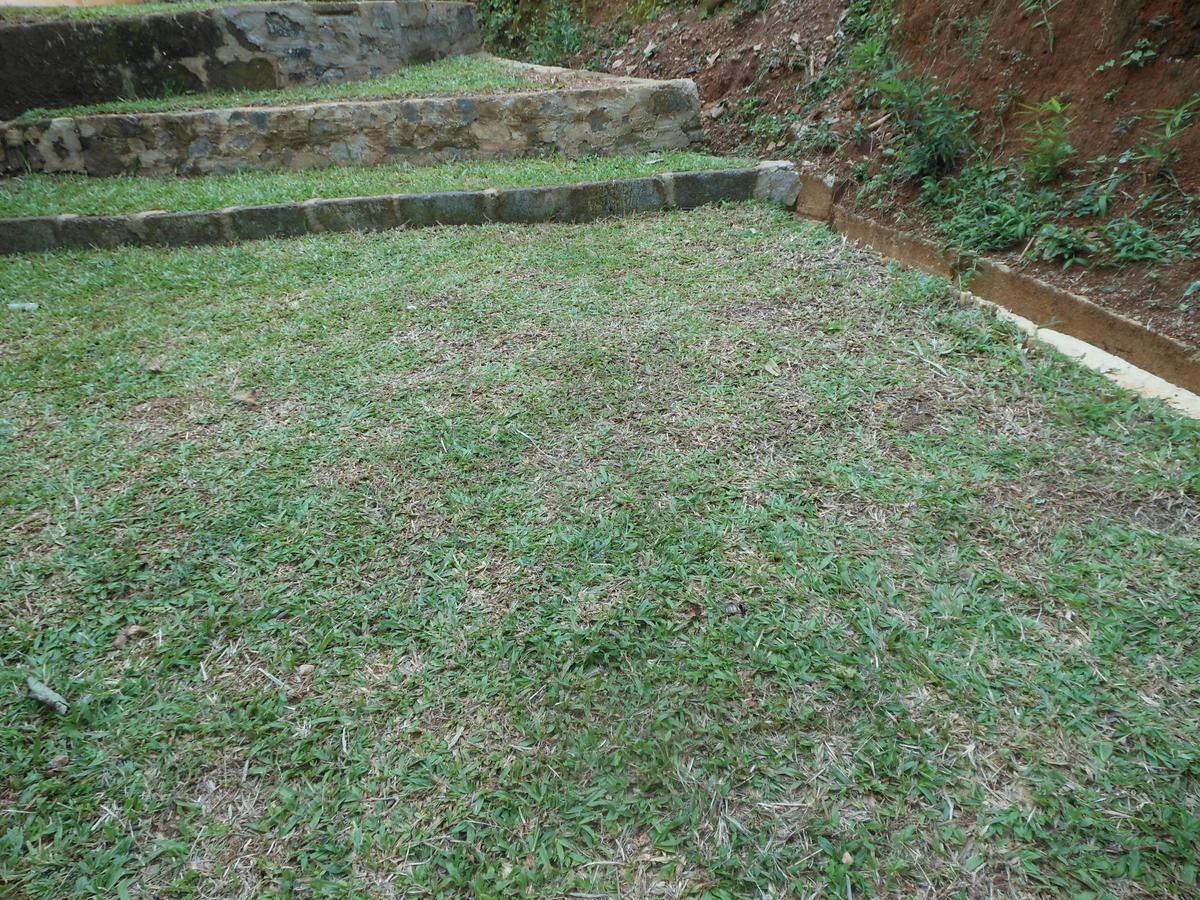 Lavender Hills Home Stay Kandy Esterno foto