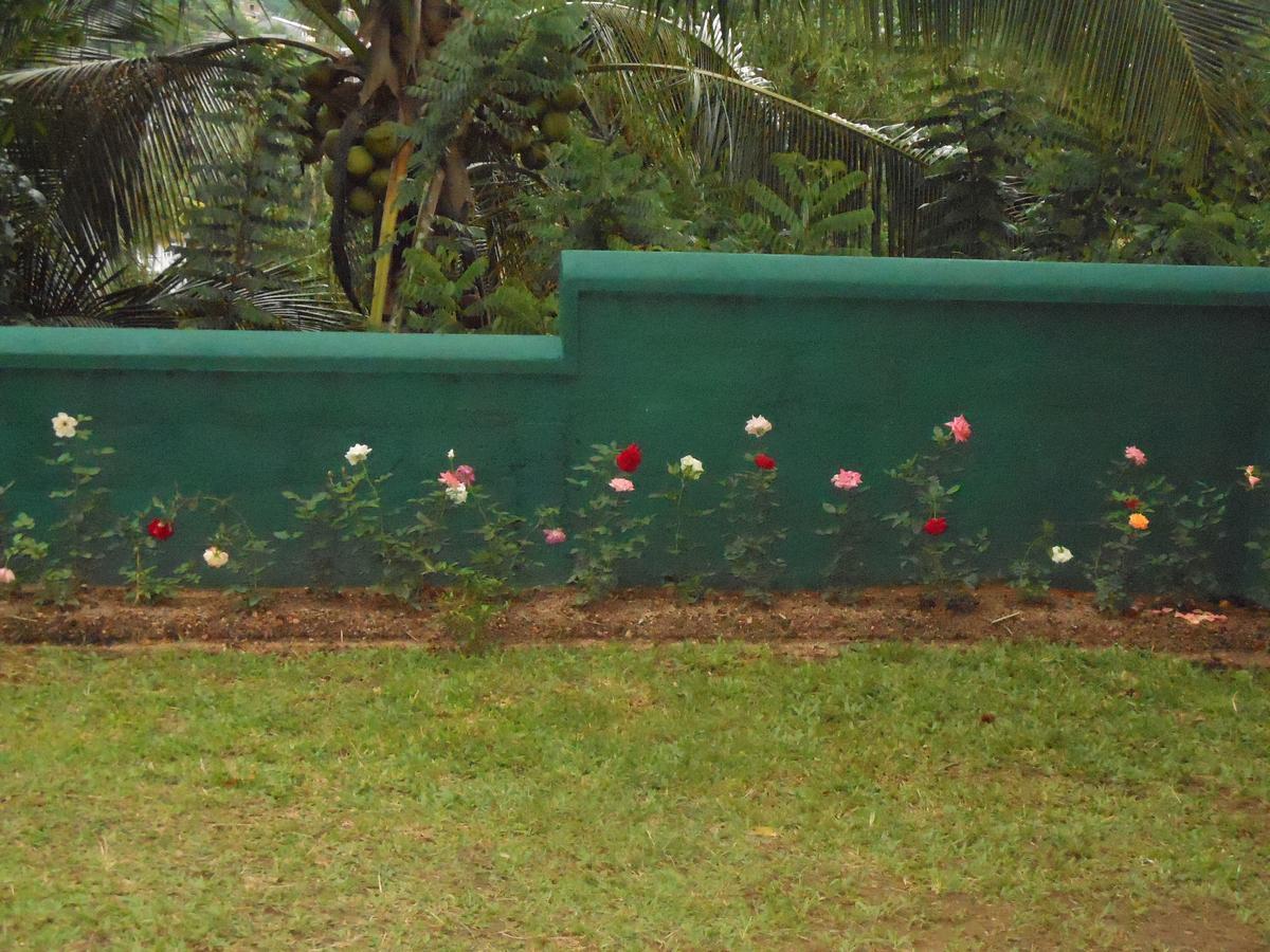 Lavender Hills Home Stay Kandy Esterno foto